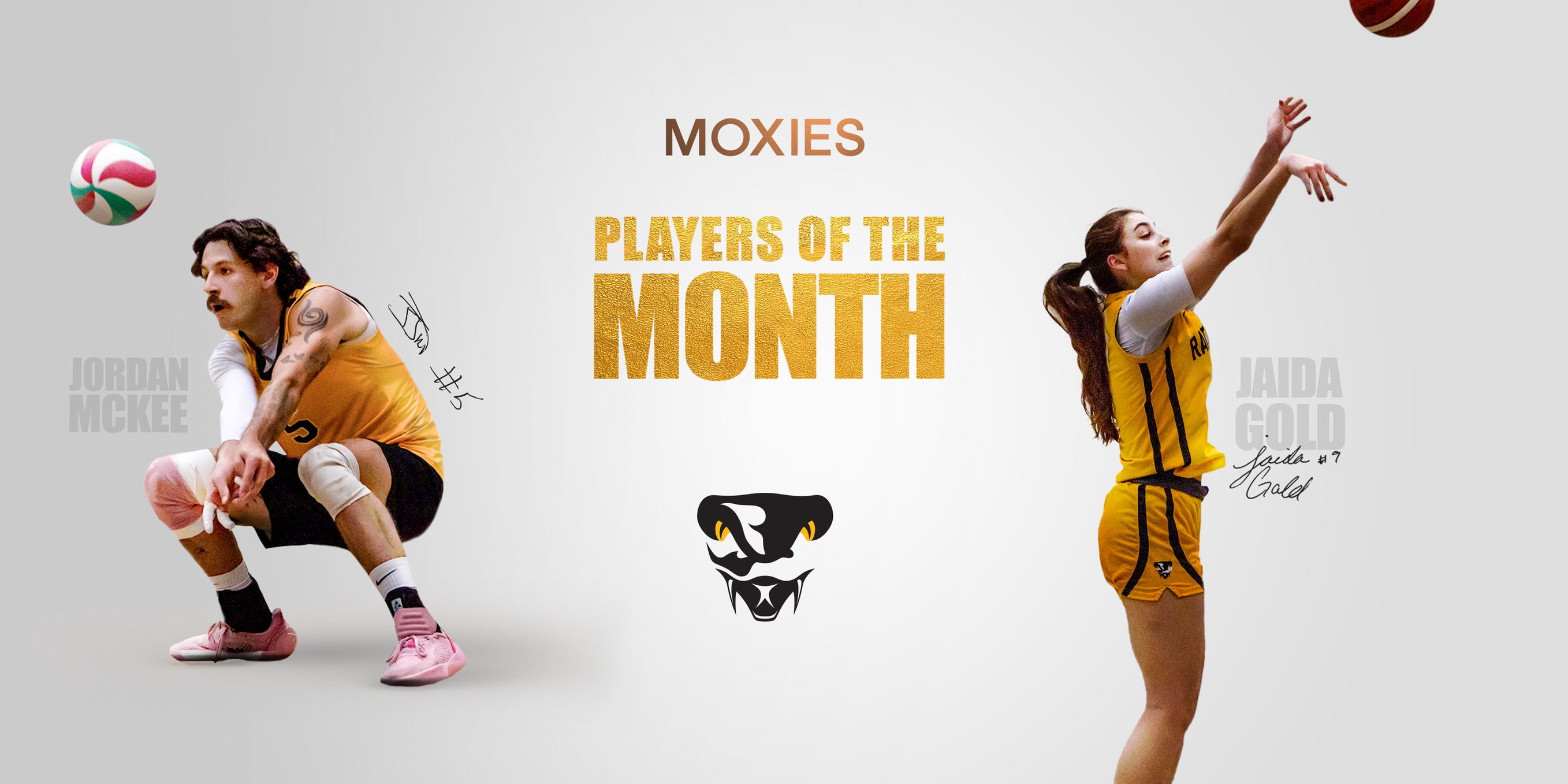 Players of the Month - November