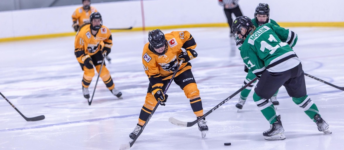 Weekend Recap - Women's Hockey is back!