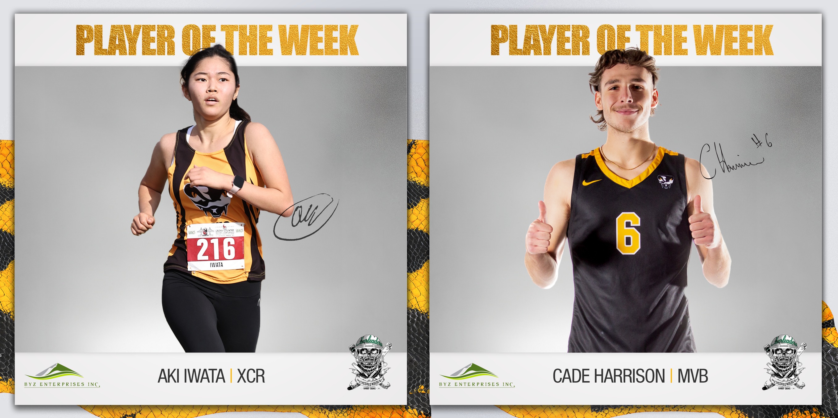 Players of the Week - November 14